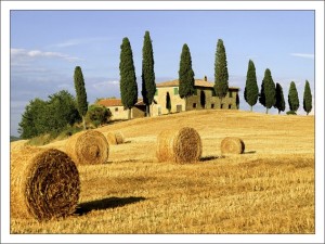 Природа Италии. Равнина. фото